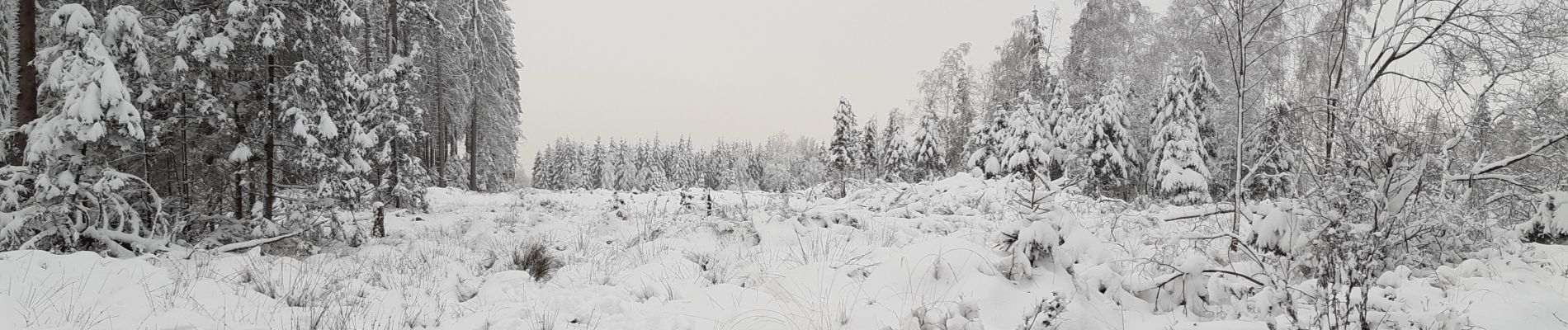 Tocht Stappen Theux - Vert Buisson . Bronromme  - Photo