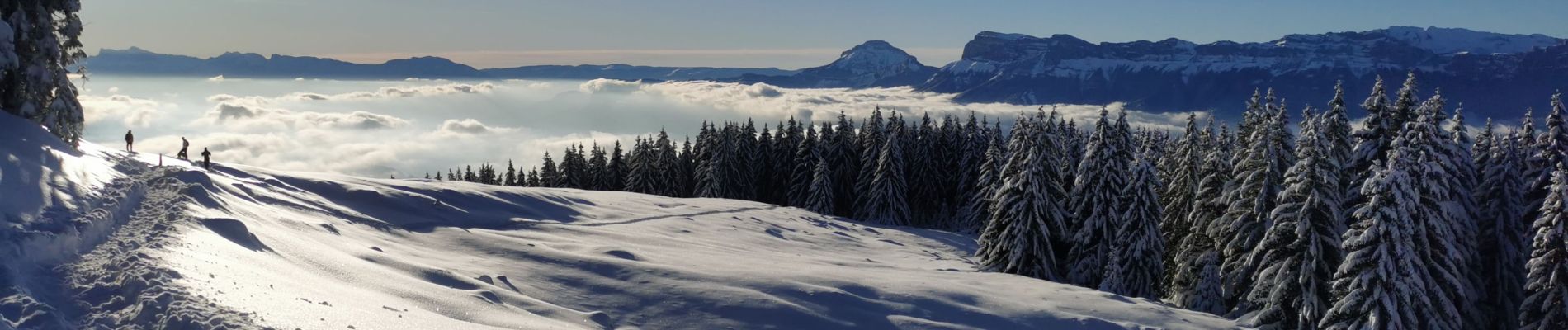 Tocht Sneeuwschoenen Crêts-en-Belledonne - randonnée raquette le Grand Rocher. le Crêt du Poulet  - Photo