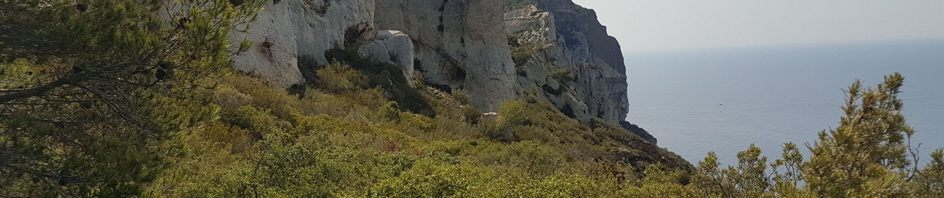 Randonnée Marche La Ciotat - falaise du cap Canaille AR - Photo