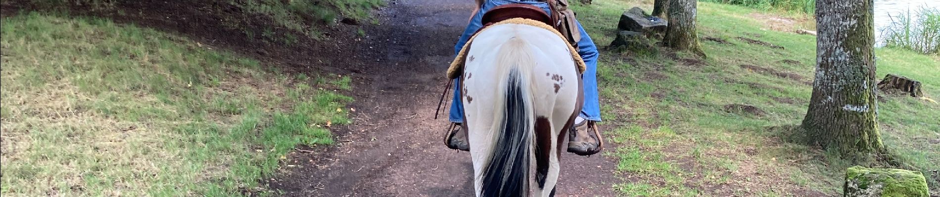 Tour Reiten Montsauche-les-Settons - Manger une glace et un smoothi - Photo