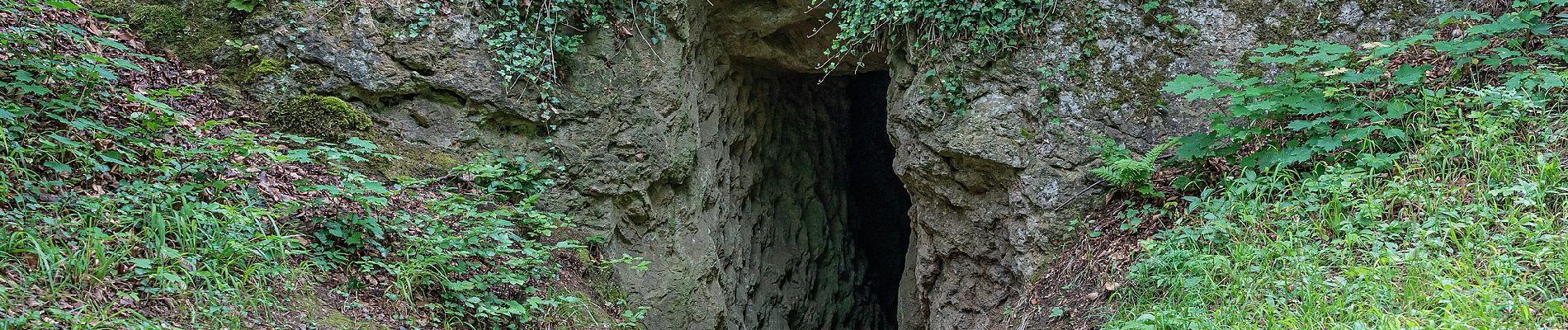 Randonnée A pied Bad Liebenstein - DE-grünes Dreieck - Photo