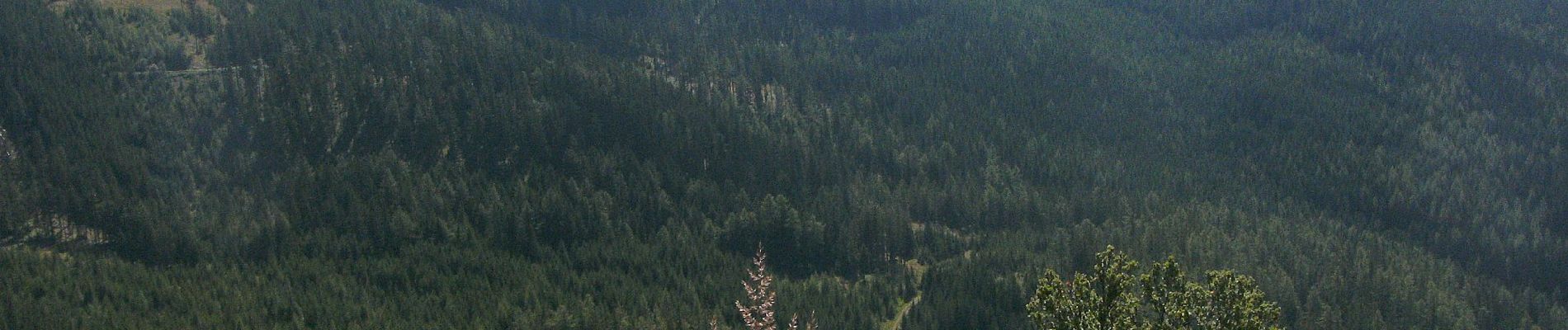 Percorso A piedi Gemeinde Spital am Semmering - Semmering - Sonnwendstein über Dürrgraben - Photo