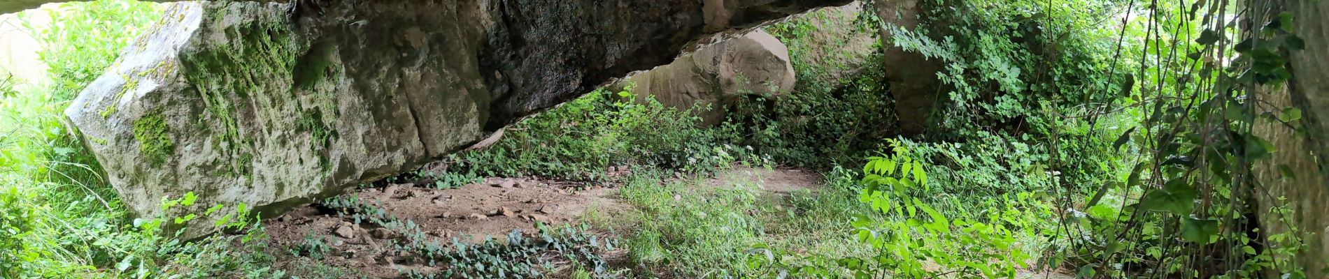 Excursión Senderismo Brissac-Loire-Aubance - St Rémy la Varenne - Gennes - Photo