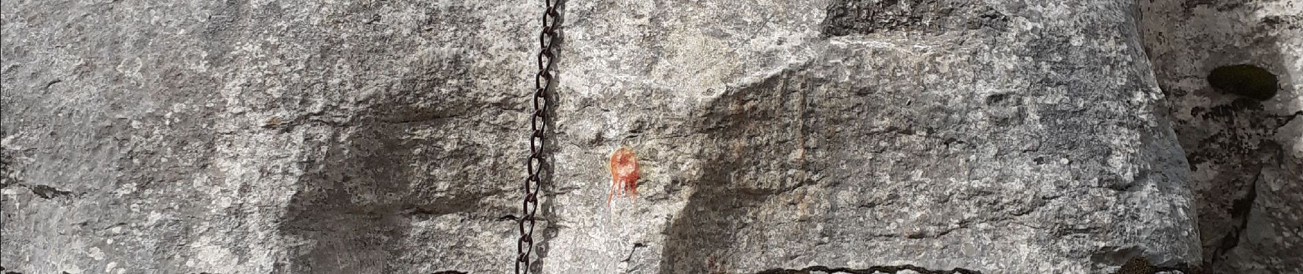 Randonnée Marche Mazaugues - Saut du cabri Carami - Photo