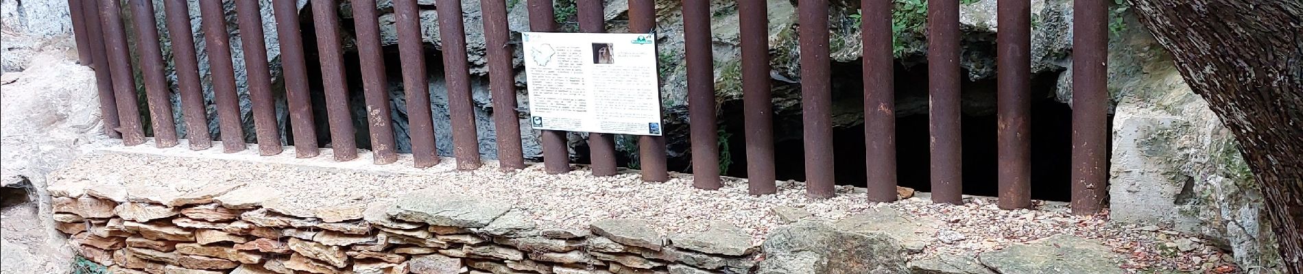 Tocht Stappen Cassis - les crêtes du cap Canaille, du pas de la colle à la  grotte des émigrés  - Photo