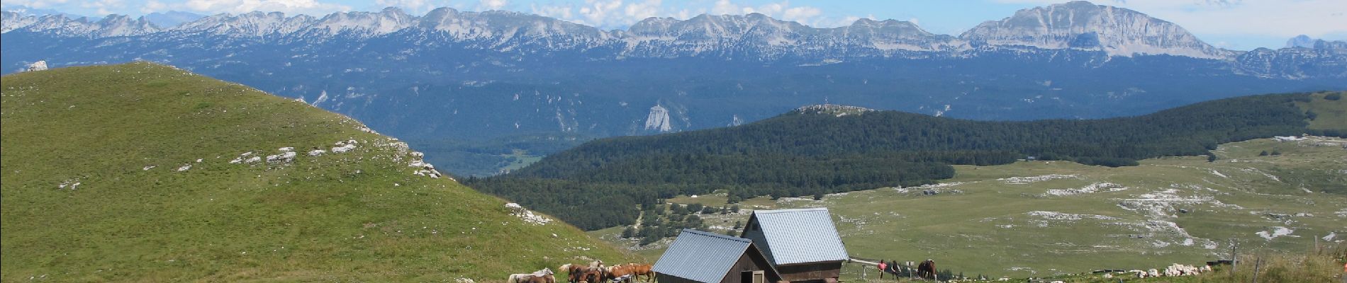 Tocht Stappen La Chapelle-en-Vercors - Traversée diagole du Vercors Etape 2na - Photo