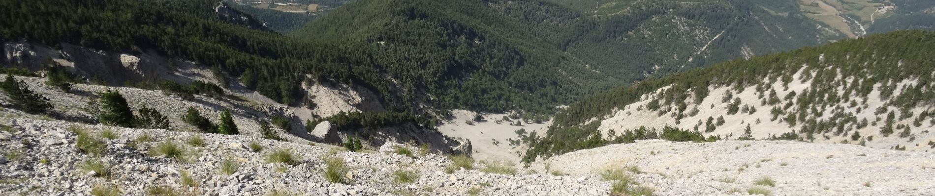 Excursión Bici de montaña Bédoin - AR Les grands pins - VTT - Photo