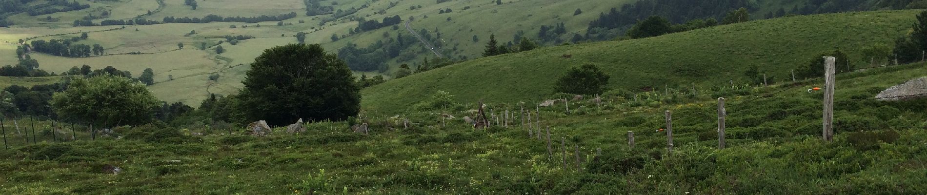 Tocht Stappen Anzat-le-Luguet - Signal du luguet  - Photo