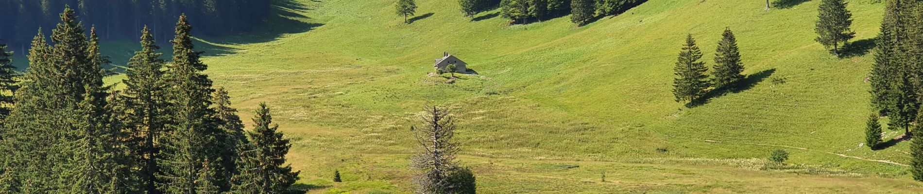 Tocht Stappen Les Rousses - Mont Sàla (boucle) - Photo