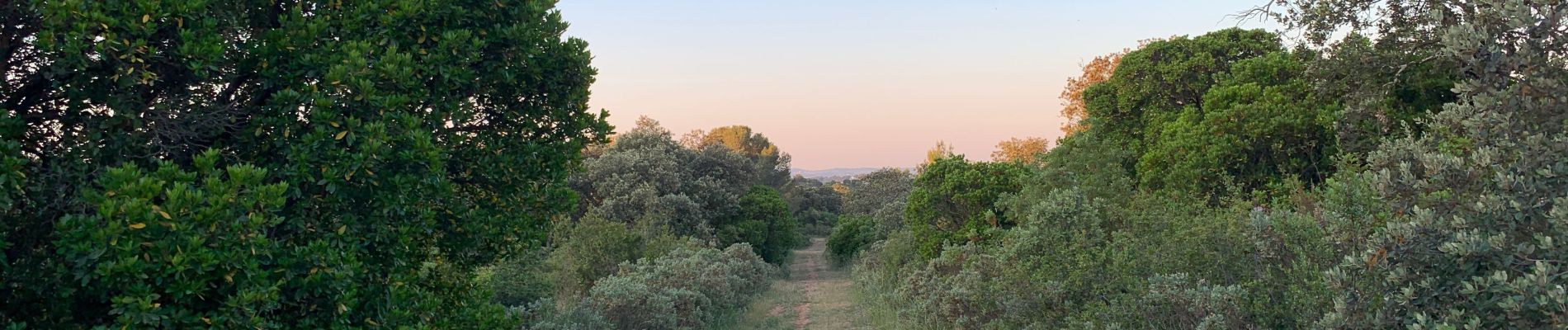 Excursión Senderismo Nîmes - Bois de Mittau et bois des Espeisses - Photo