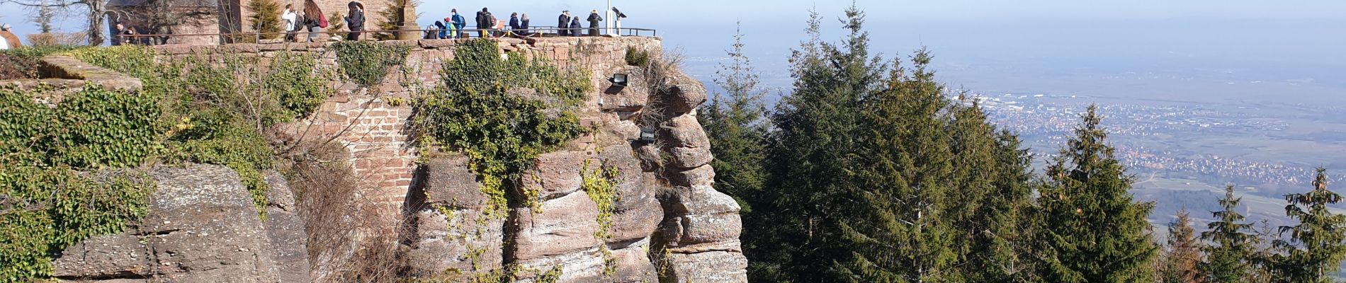 Randonnée Marche Ottrott - Mont Sainte-Odile - Tour du mur Païen - Photo