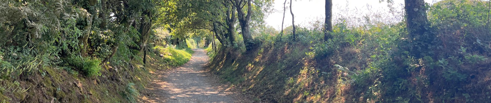 Trail Walking Portomarín - 2022 Camino de Santiago 3 - Photo