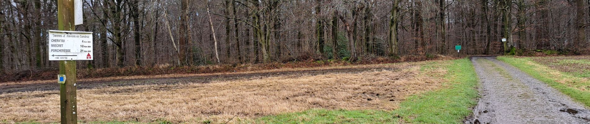 Tocht Stappen Havelange - Marche ADEPS Havelange  - Photo