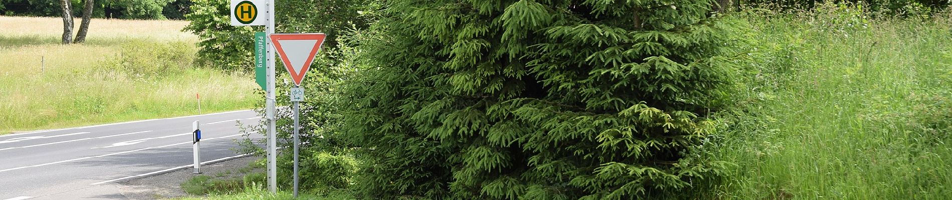 Tour Zu Fuß Helsa - Kaufunger Wald, Rundweg 21 - Giesenbachtal - Photo