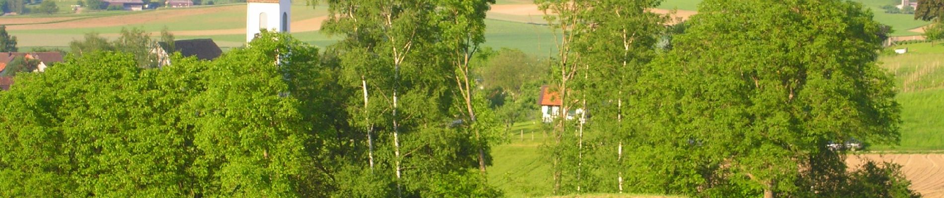 Tocht Te voet Hochfelden - Hochfelden - Stadel - Photo