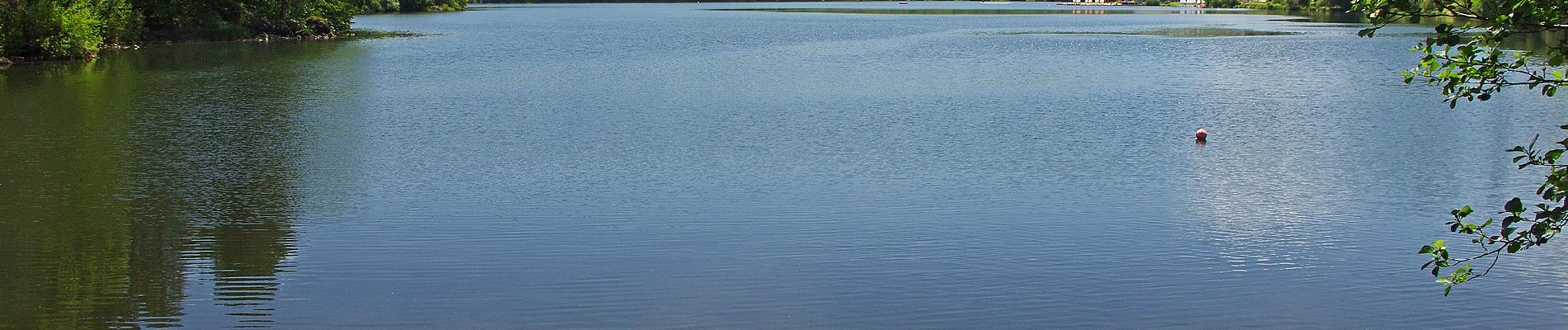 Tour Zu Fuß Aydat - Le Lac d'Aydat - Photo