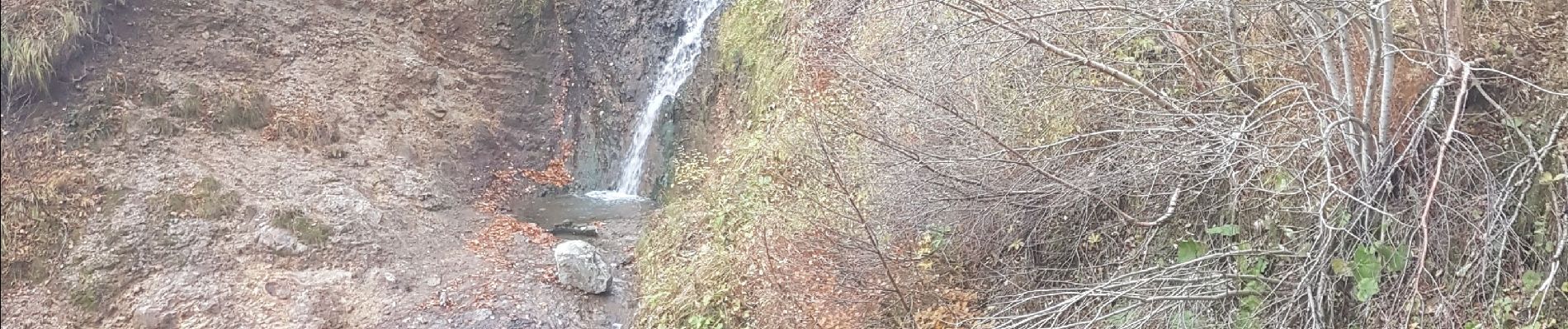 Tocht Stappen Chambon-sur-Lac - chaudefour - Photo