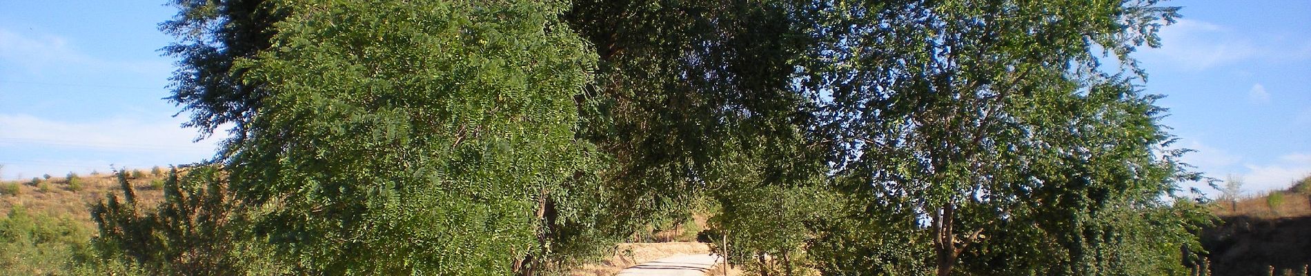 Trail On foot Alcalá de Henares - Ruta del Ecce-Homo - Photo