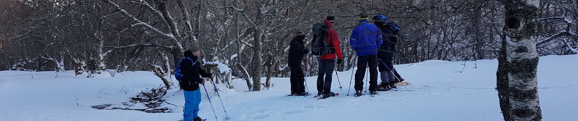 Tour Schneeschuhwandern Chambon-sur-Lac - Journée raquettes le 12/02/2019 - Photo