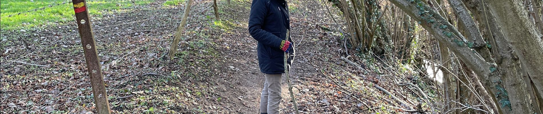 Tour Wandern Chaumont-Gistoux - Tour Dion Bonlez  - Photo