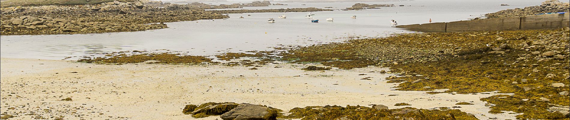 Randonnée Marche Plouguerneau - Côte Nord-est de Plouguerneau - Photo