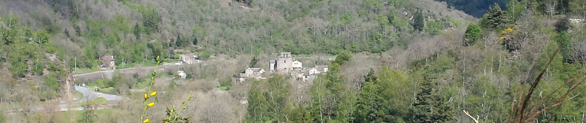 Percorso Marcia Mont Lozère et Goulet - Tournel Oulmes - Photo