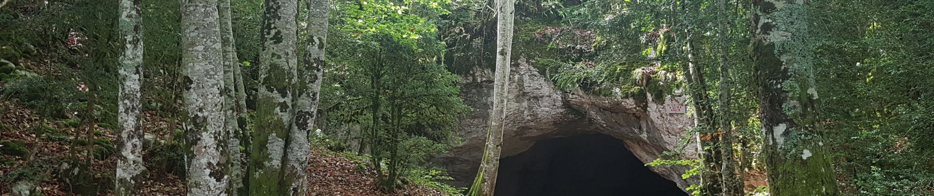 Tour Wandern Presles - Coulmes - La Fontaine de Pétouze par la grotte des Boeufs  - Photo