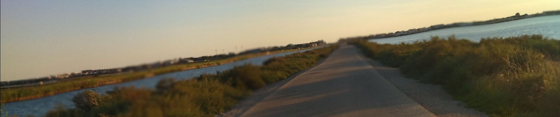 Percorso Bici da strada Le Grau-du-Roi - 30 vélo milodi - Photo