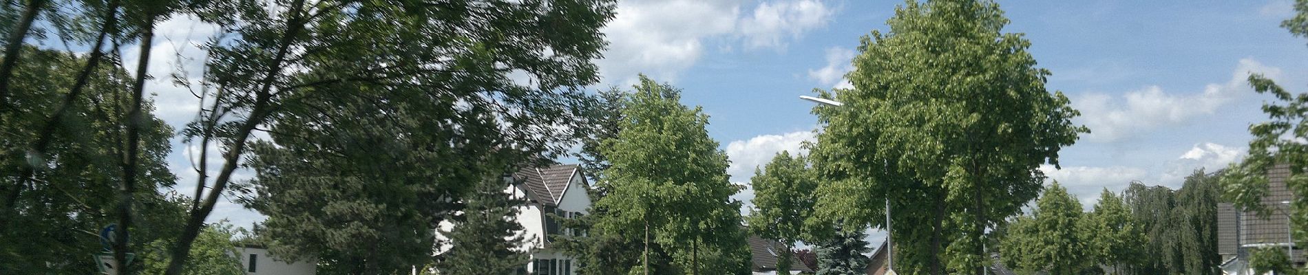 Percorso A piedi Euskirchen - Zur Mitbach Aue und zurück - Photo