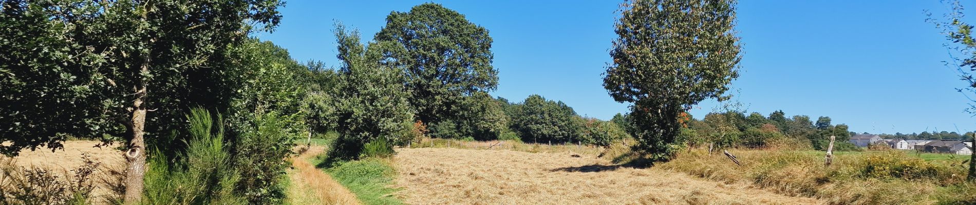 Tocht Stappen Houffalize - GrWandArd 46 Buret het kanaal van Bernistappe (PVDB) - Photo