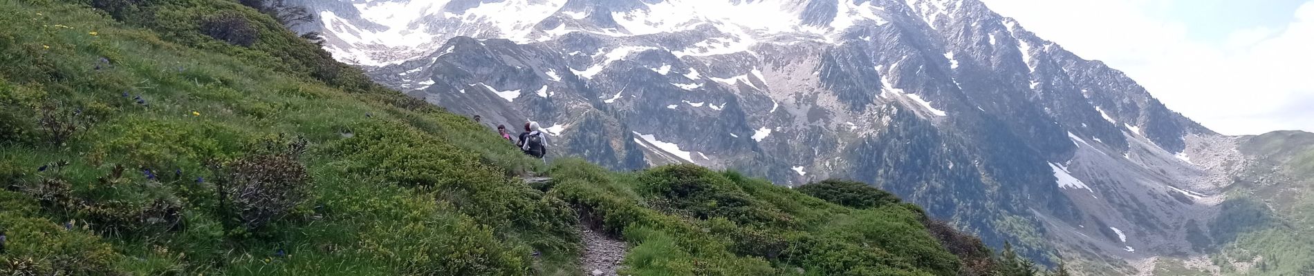 Tocht Stappen Presle - 2023-06-15 Prodin -Col de la Perche en boucle  - Photo