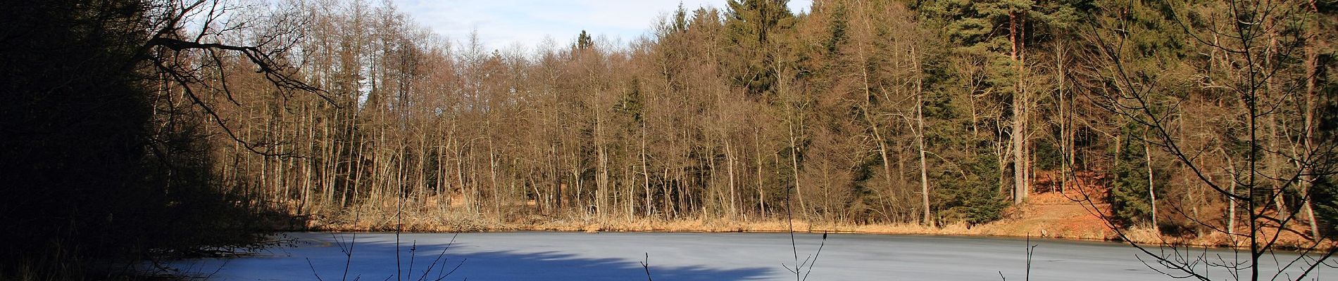 Tour Zu Fuß Tittling - Schwammerlweg - Photo