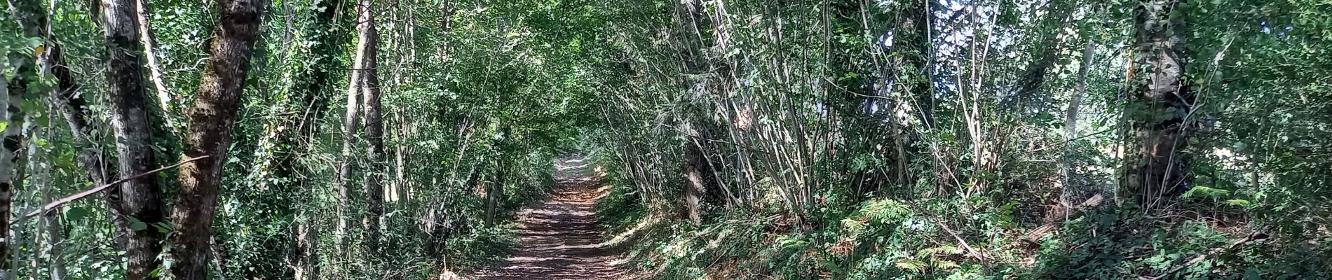 Trail Walking Moutier-Malcard - Moutier 11.7km le 20/08/2020 - Photo