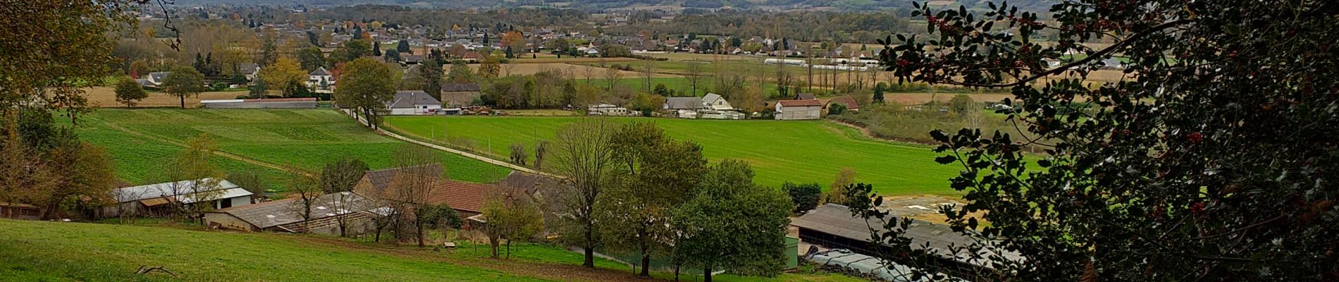 Trail Walking Livron - Livron confiné 3 - Photo