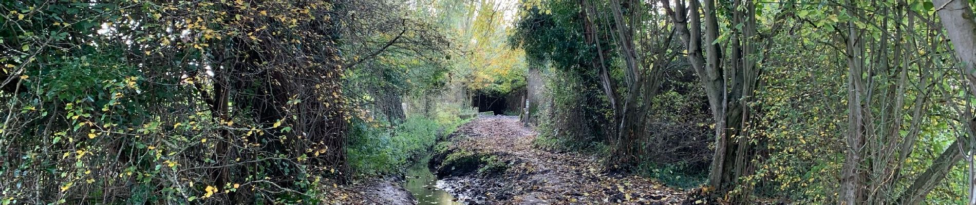 Randonnée Marche Diepenbeek - La réserve naturelle Nietelbroeken à Kortessem - Photo