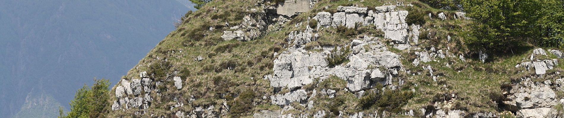 Tocht Te voet Valli del Pasubio - Vallortigara - Busa del Novegno - Photo