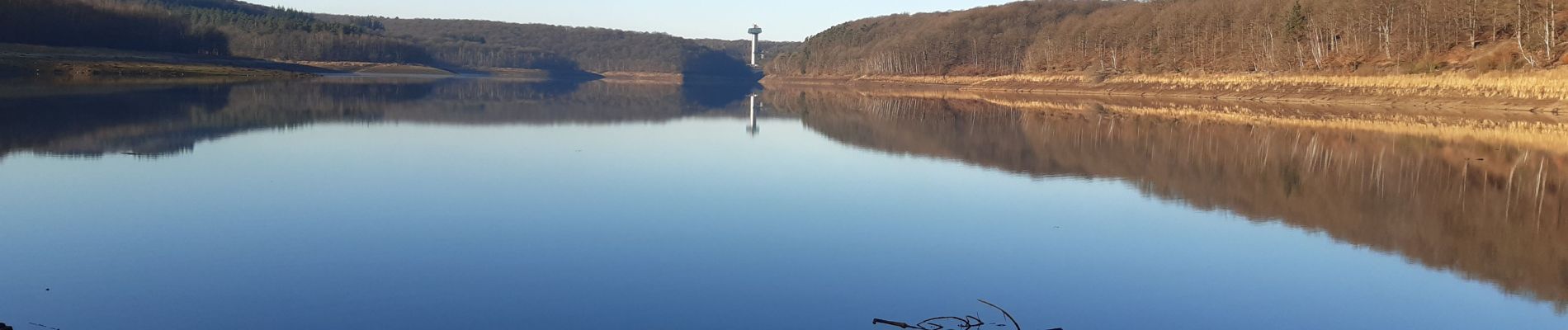 Tocht Stappen Baelen - menbach 15 km - Photo