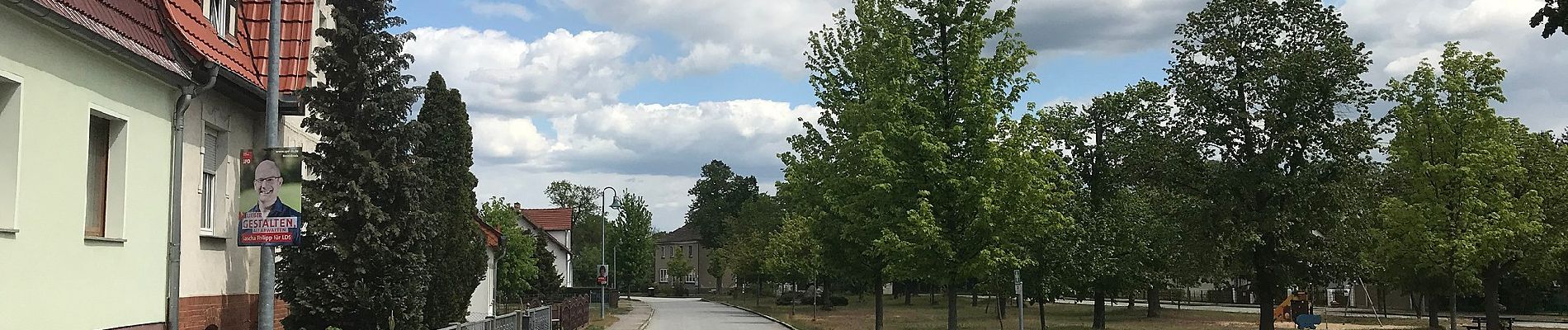 Percorso A piedi Halbe - Rundwanderweg Briesen-Staackmühle - Photo