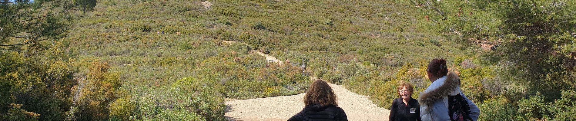 Excursión Senderismo Marsella - Collines de Pagnol  - Photo