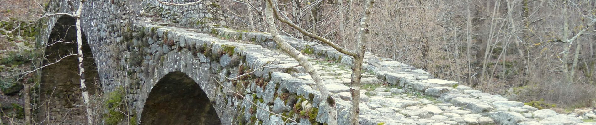 Randonnée Marche Montpezat-sous-Bauzon - Balade-Le Villaret-La Forêt- Les Malfaugères - Photo