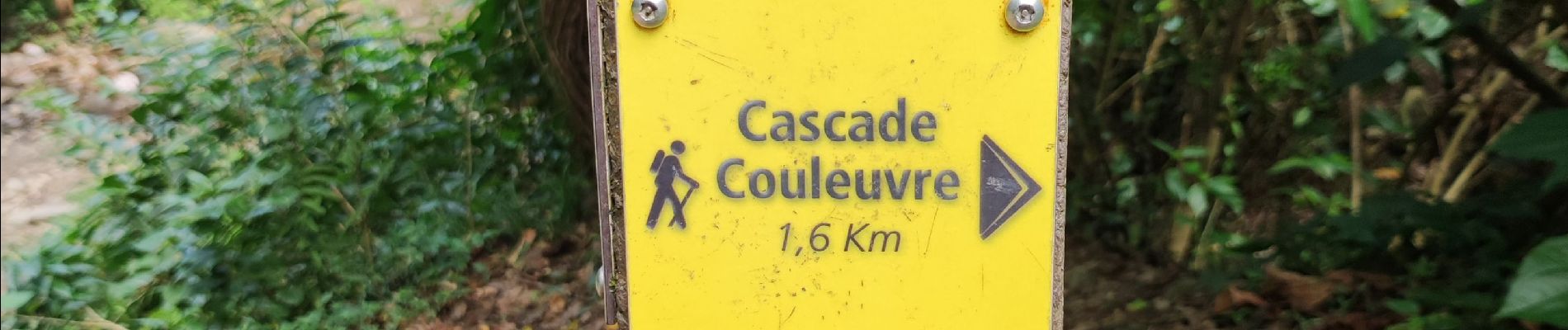 Randonnée Marche Le Prêcheur - Cascade de l'anse Couleuvre, depuis anse Céron en aller-retour ! - Photo