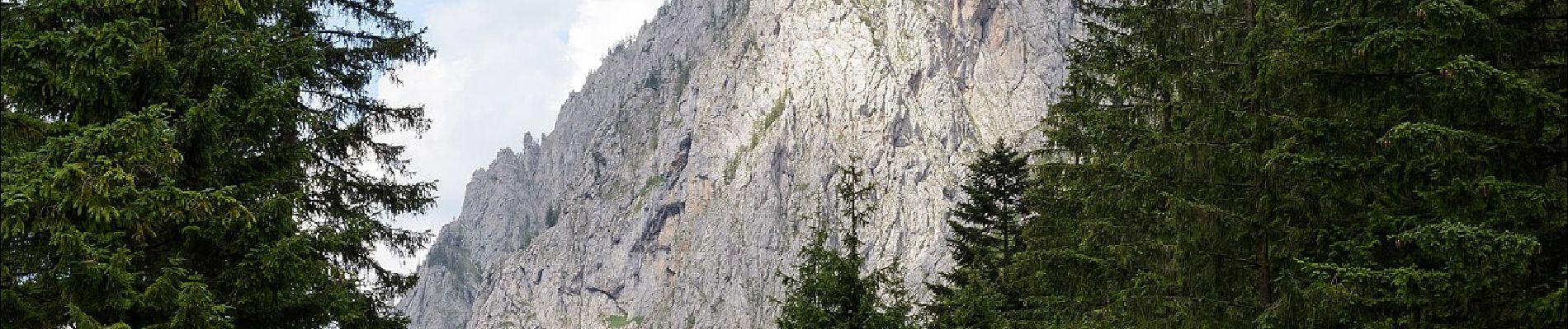 Tour Zu Fuß Wildalpen - Riegerin-Steig - Photo