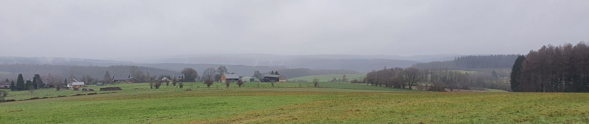 Tour Wandern Saint-Hubert - rando arville 3/12/2020 - Photo