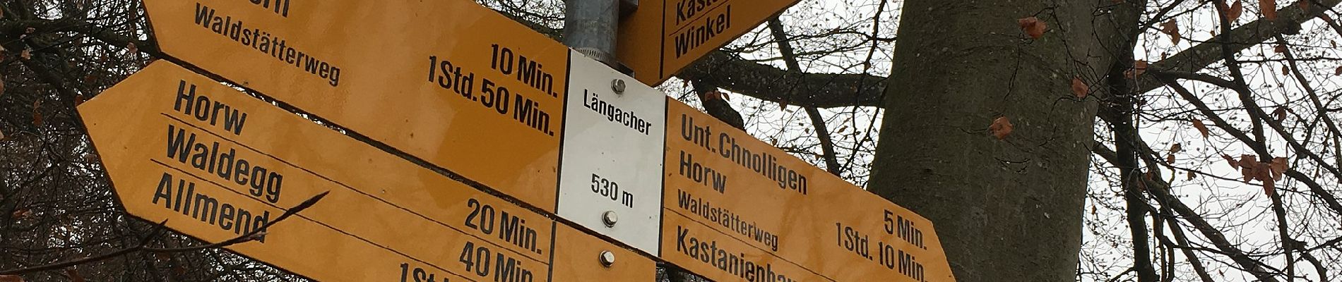 Percorso A piedi Horw - Seeben - Kastanienbaum - Photo