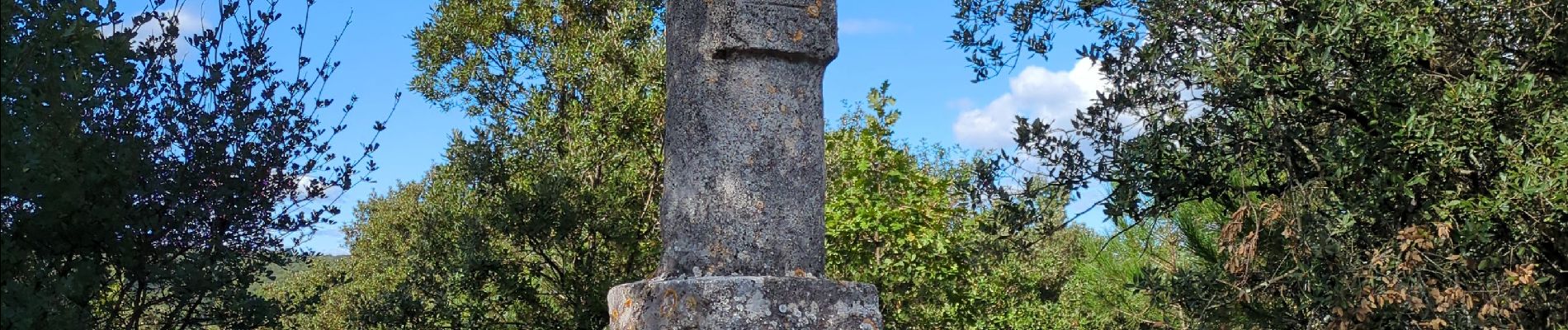 Randonnée Marche Vallabrix - Vallabrix et le site de Massargues  - Photo