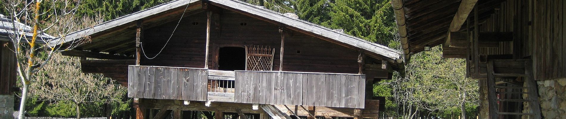 Tour Zu Fuß Mauth - Waldschaf · Šumavská ovce - Photo