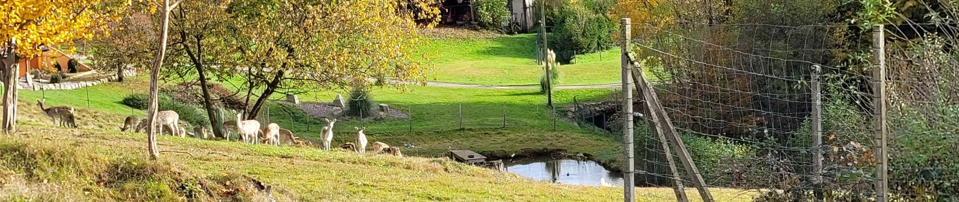 Tocht Stappen Vieux-Moulin - Vieux-Moulin 