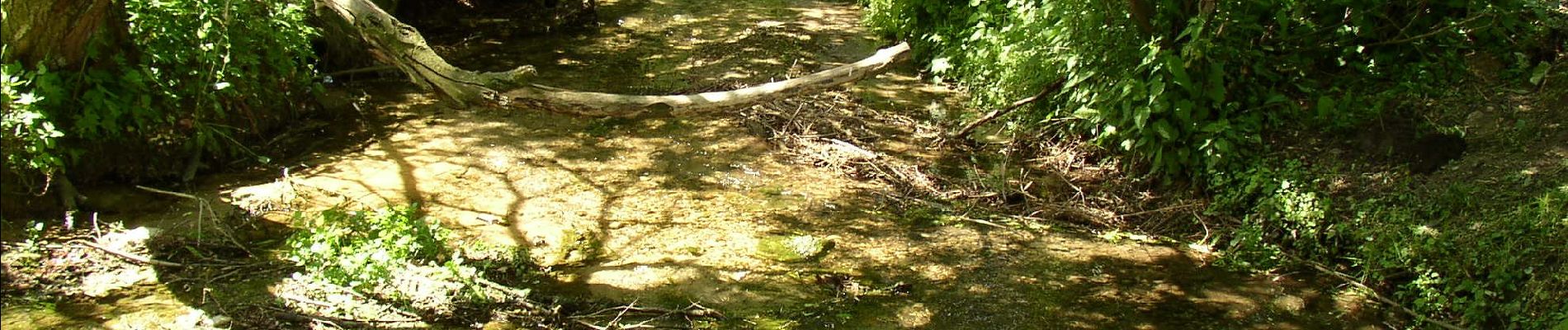 Tour Zu Fuß Halle (Westf.) - Haller Rundweg A6 - Photo