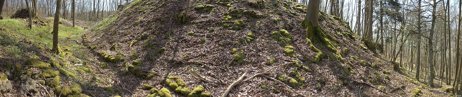 Randonnée A pied Ebermannstadt - Rundweg Schlüsselstein - Photo