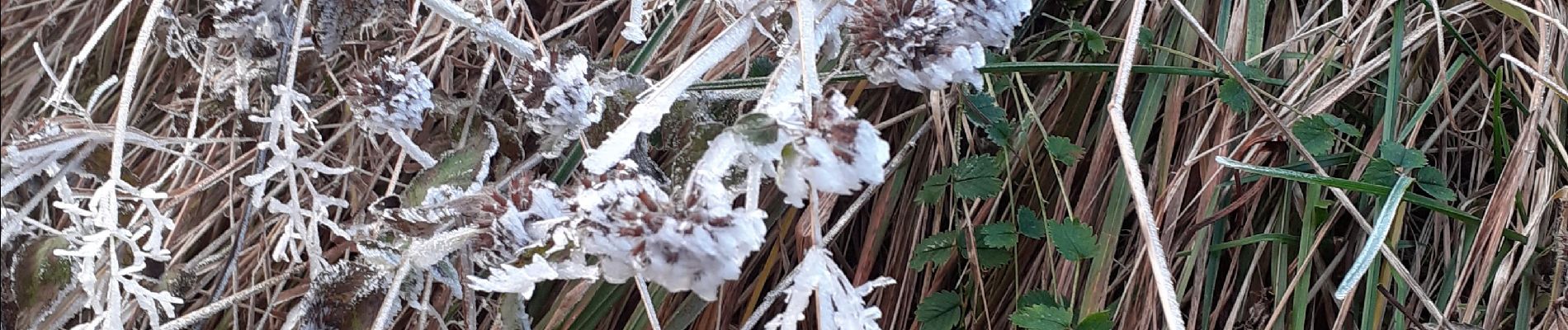 Trail Walking Apremont - pointe de la gorgeat par col granier - Photo